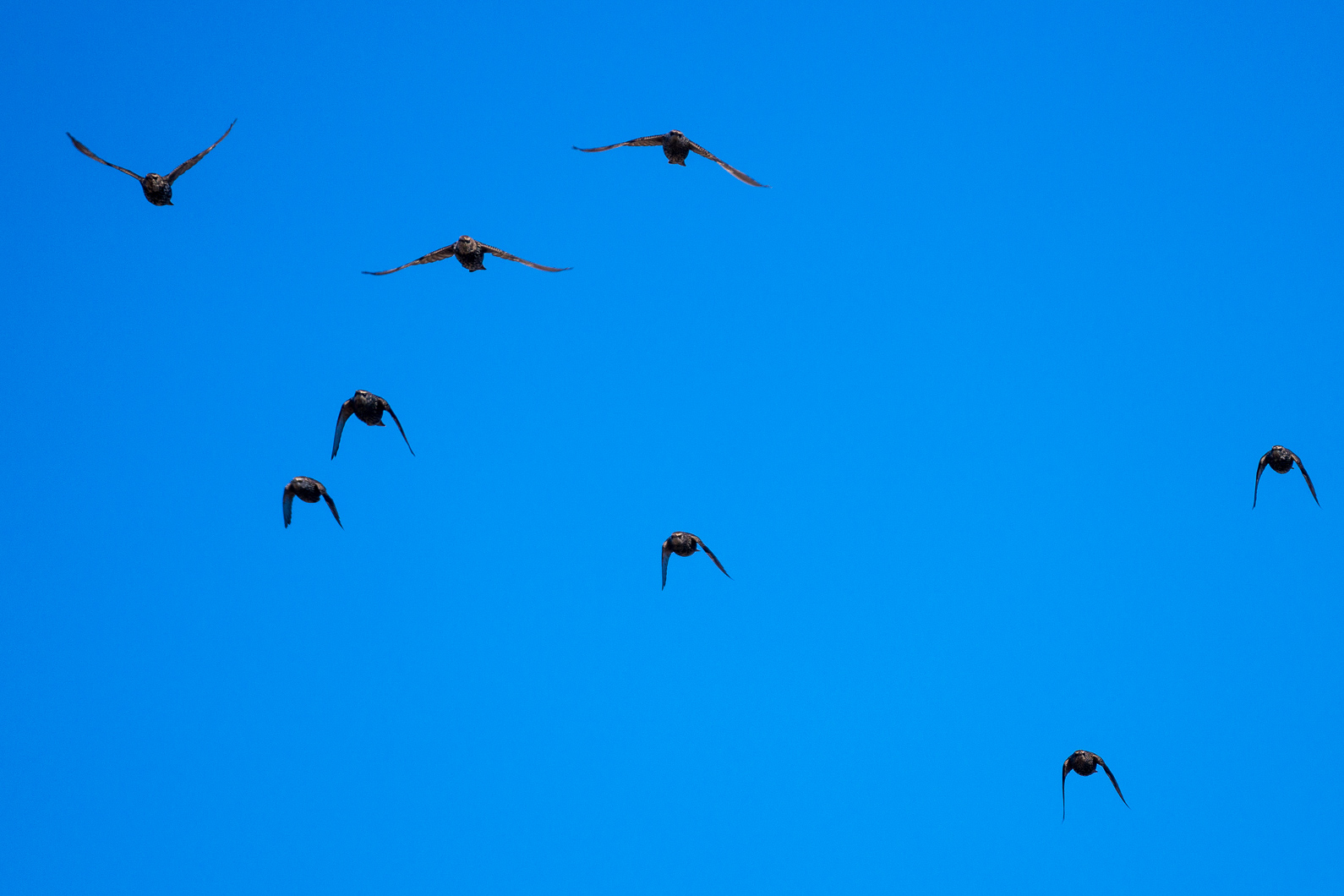 20160921 131137 Kap Arkona   Putgarten